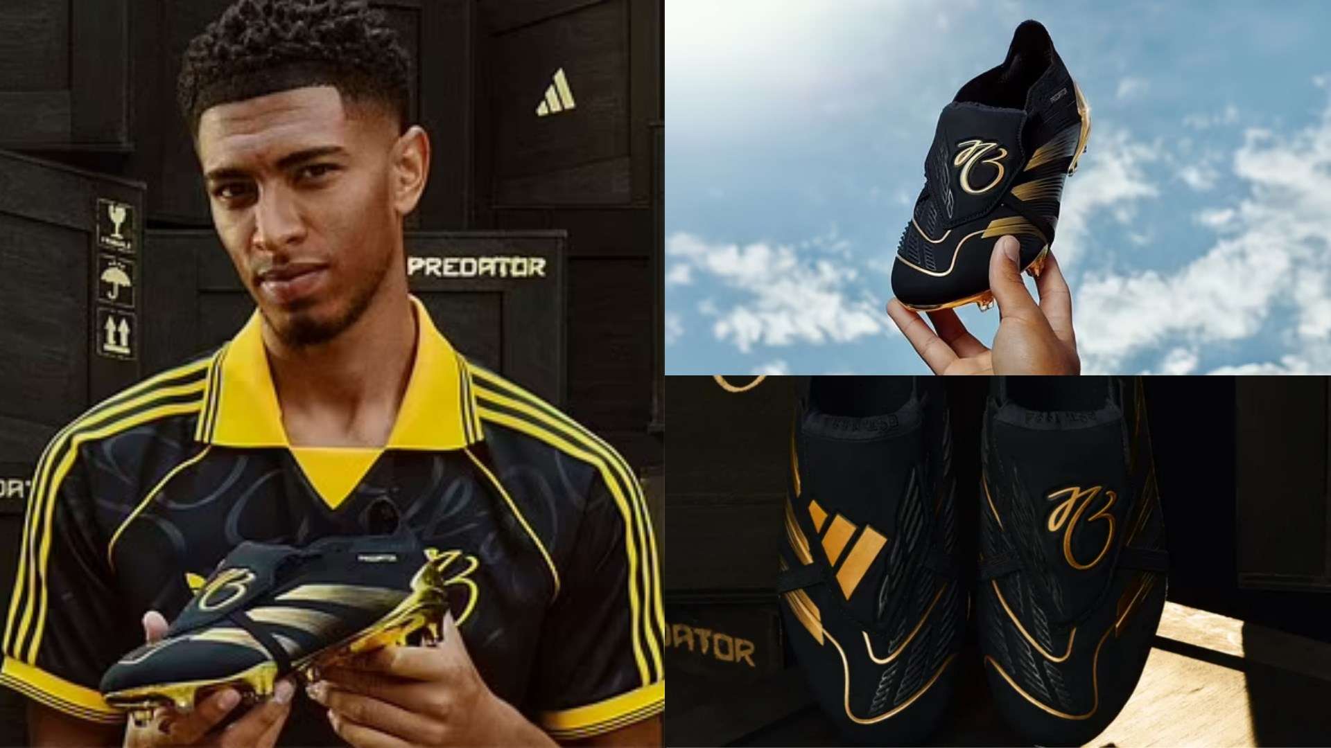 荷兰队的复 荷兰队的复