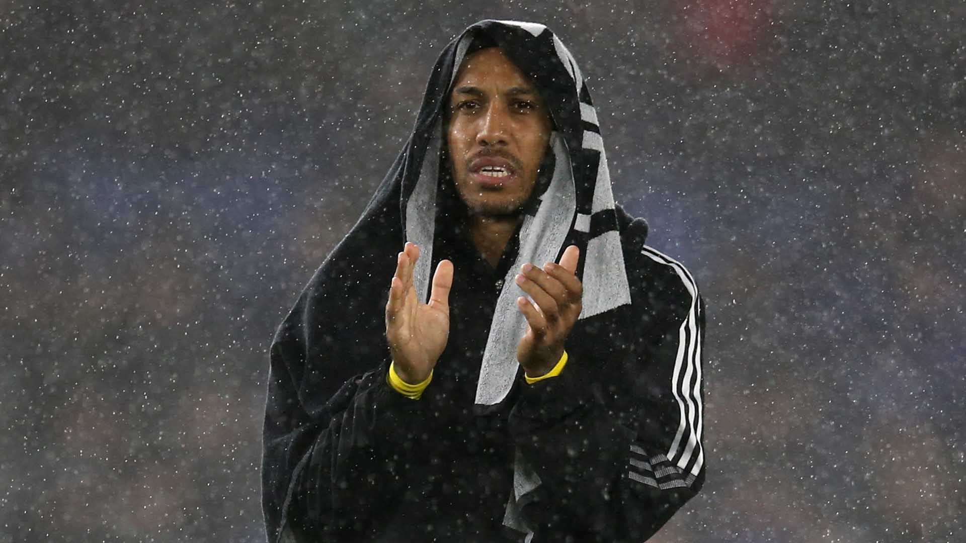 期的潜力 期的潜力